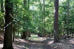 Killikus&reg; Fotographie